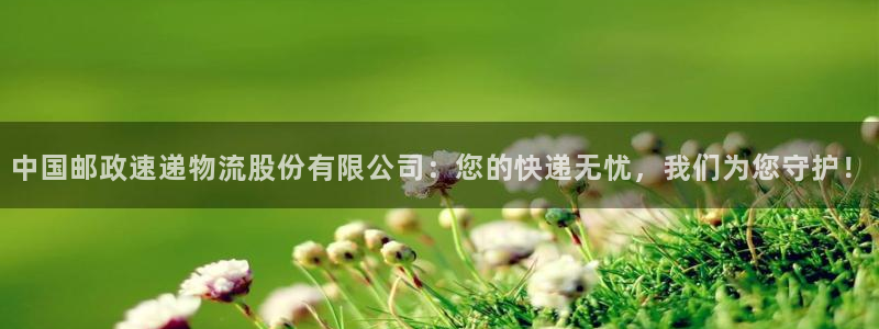 28圈官方版网站：中国邮政速递物流股