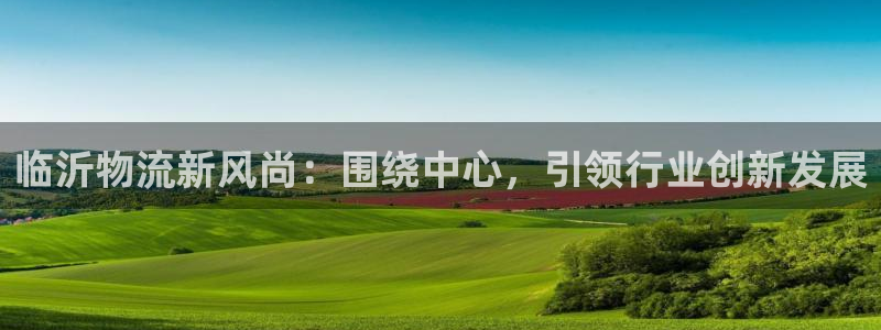 28圈p扣除：临沂物流新风尚：围绕中