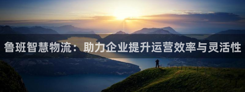 28圈注册入口与教程：鲁班智慧物流：