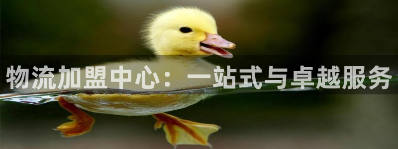 28圈百度百科：物流加盟中心：一站式