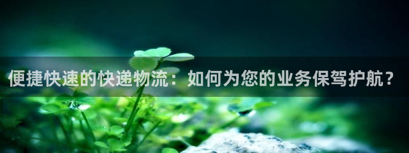 28圈充值：便捷快速的快递物流：如何