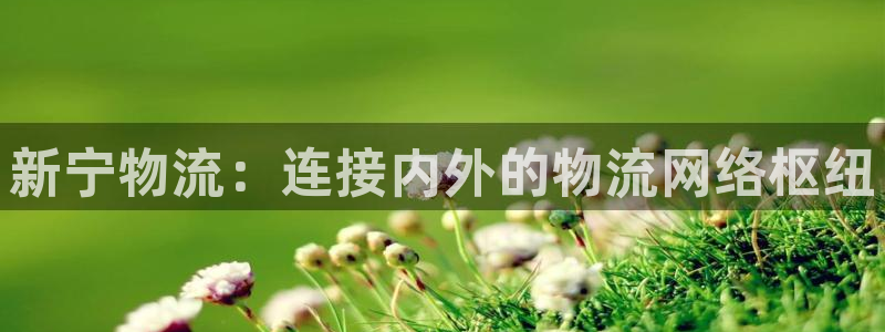 28圈客服电话：新宁物流：连接内外的