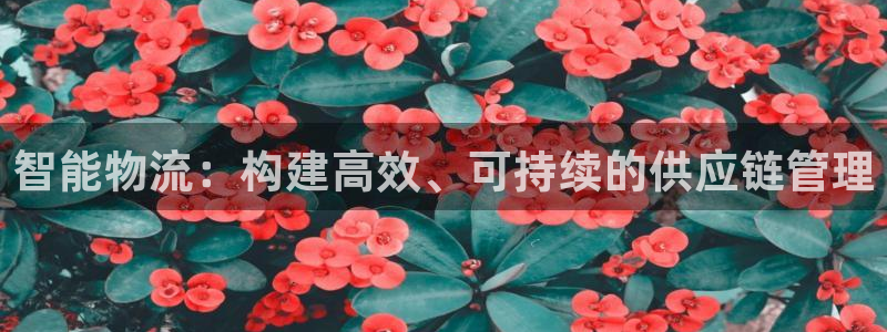 28圈官方：智能物流：构建高效、可持