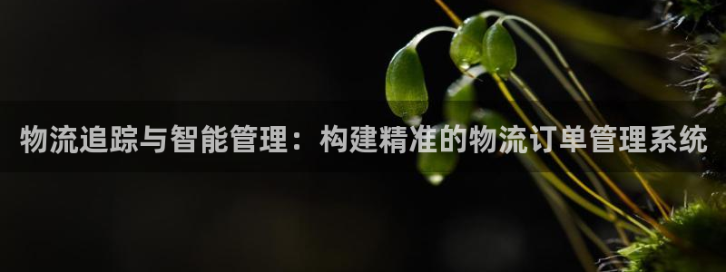 28圈哪个最赚钱：物流追踪与智能管理
